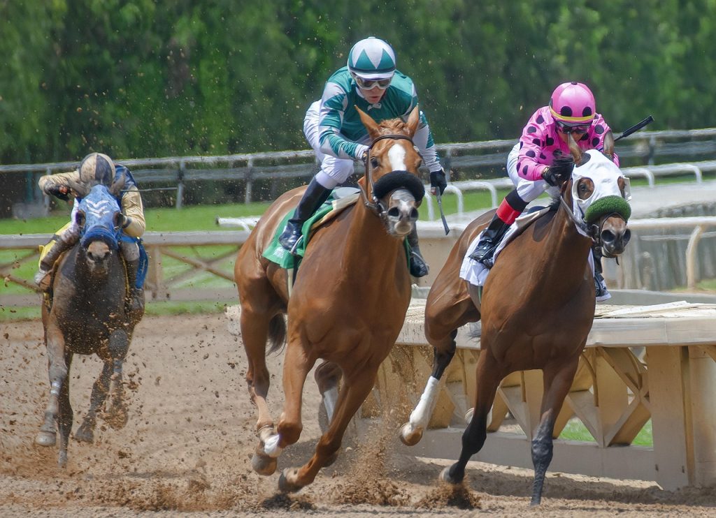 horse-3880451_1280